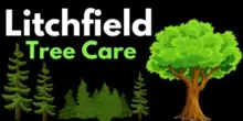 litchfield-tree-care-logo